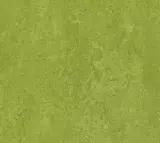 Натуральный линолеум Forbo Marmoleum Real 3247 Green