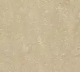 Натуральный линолеум Forbo Marmoleum Real 2499 Sand