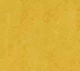 Натуральный линолеум Forbo Marmoleum Real 3251 Lemon Zest